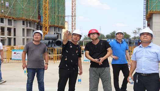 华体买球中国有限公司董事会巡检圆满完成